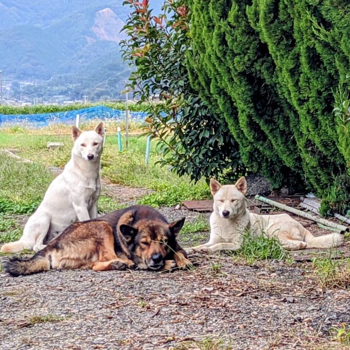 6b4816d0 c849 40e0 82b3 0d9395199e2a 1761864279321