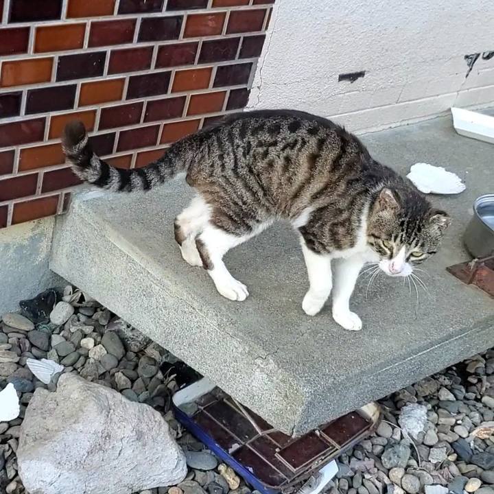 6b48202a aff4 46fd 894b c277f2ef6d77 1717555678004