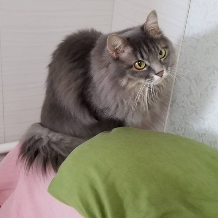 6b4838a2 7de2 4aad b273 8c0ee3b347aa 1541454630597