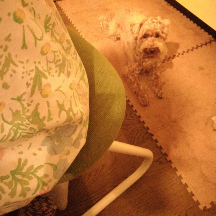 6b4871f5 ff7c 4f86 a6d3 6c7a1fea6fe1 1528201914178