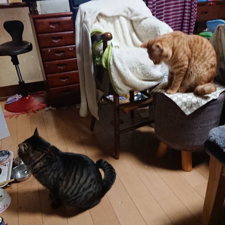 6b488b0d 9d2c 47a7 a0d5 d767b0dabc25 1642589028840