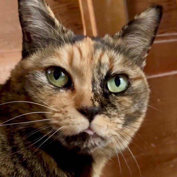 6b48d6dd 97d5 4636 9002 3b5a5b042a5d 1768204775304