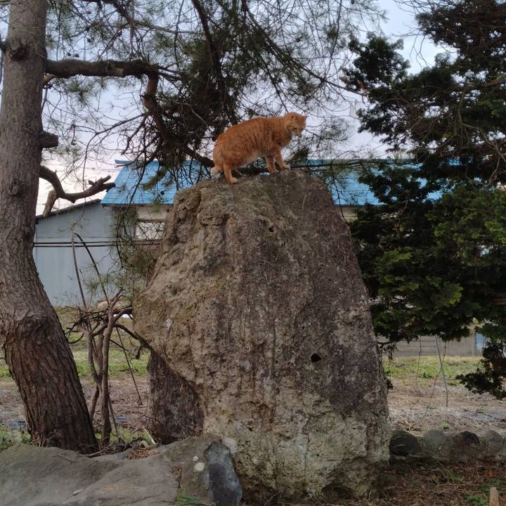 6b48dafb fc35 428d a5c1 5aa7225a38d9 1679954269594