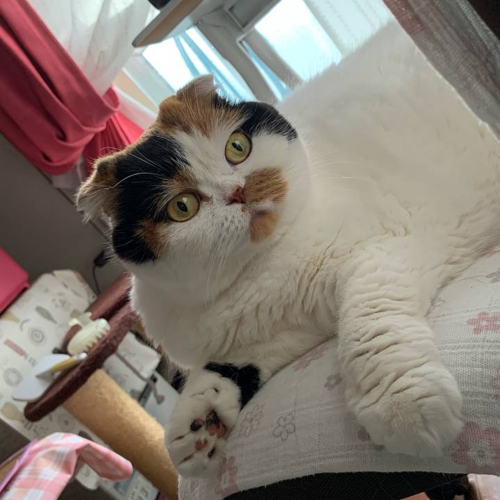 6b4933b6 8ac2 4b9a 9d77 b87858511f7d 1602035061110