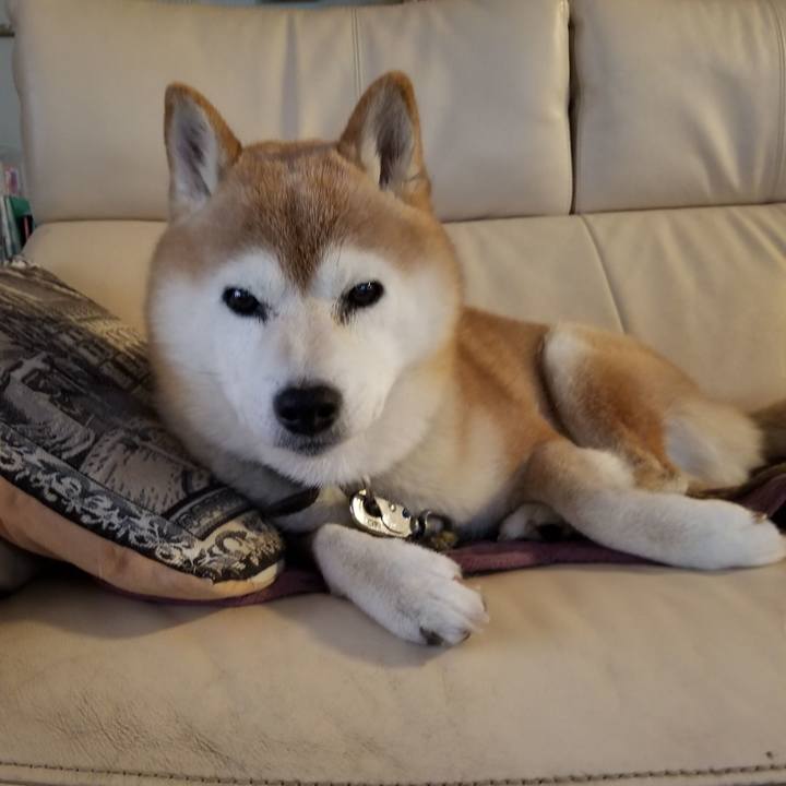 6b495773 d7e5 4554 a55a b15e692b8316 1703546401490