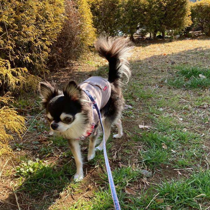 6b496491 7c28 4fa8 a7e8 37f23345ca0c 1708250958716