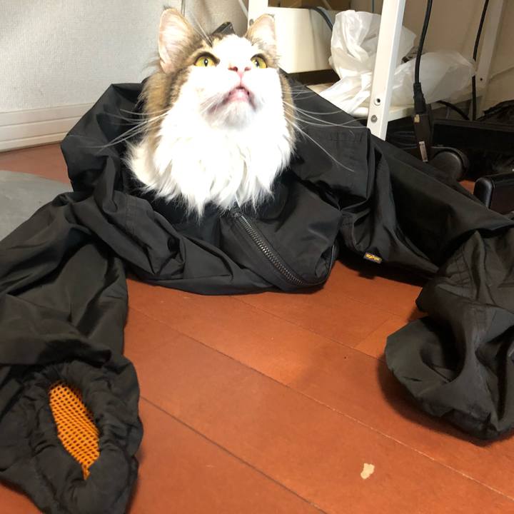 6b499483 c57a 4598 9a30 11e3d09b3b82 1557551269297