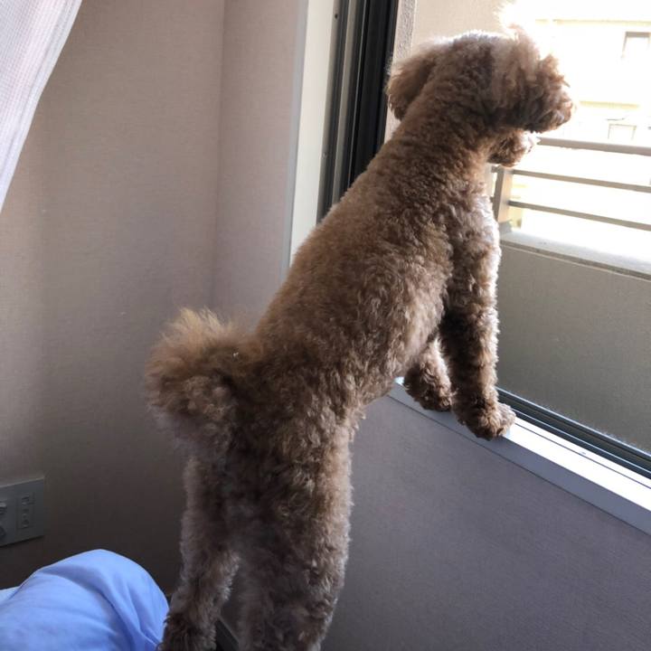 6b499d7e 0cbf 4658 8b11 8cc2d6ac650a 1538913602149