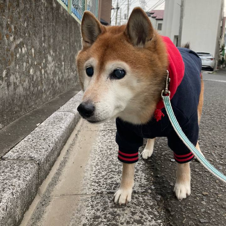 6b49a696 e7fa 4627 9e43 604d72bf6bdc 1736679998617