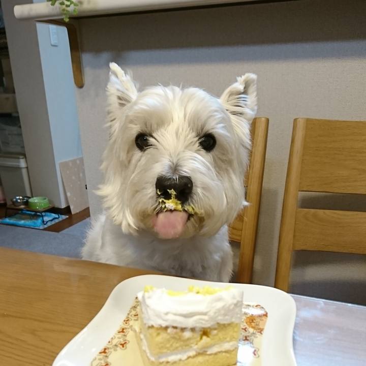 6b49ce17 aca1 4530 9a7e ef43f59c0bc9 1545825284233