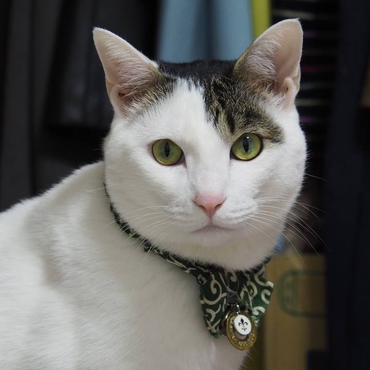 6b49dd62 b1ce 4013 b27f f2d0d19052c7 1543161005636