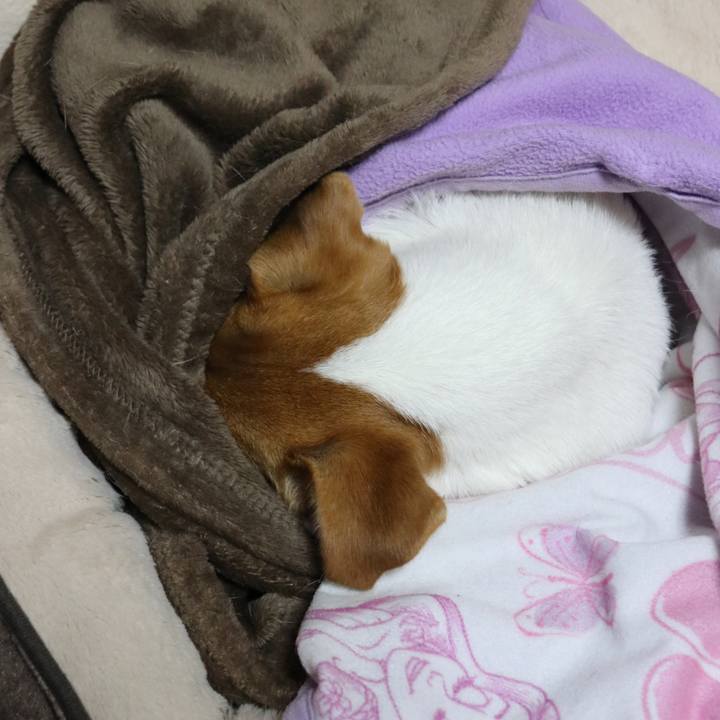 6b49faf3 2a94 4bf7 a389 b708b39a3009 1541108614856