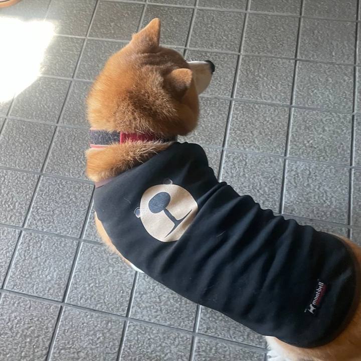 6b4a16b0 55bf 4ab6 9d6a 66622b4746db 1727956611788