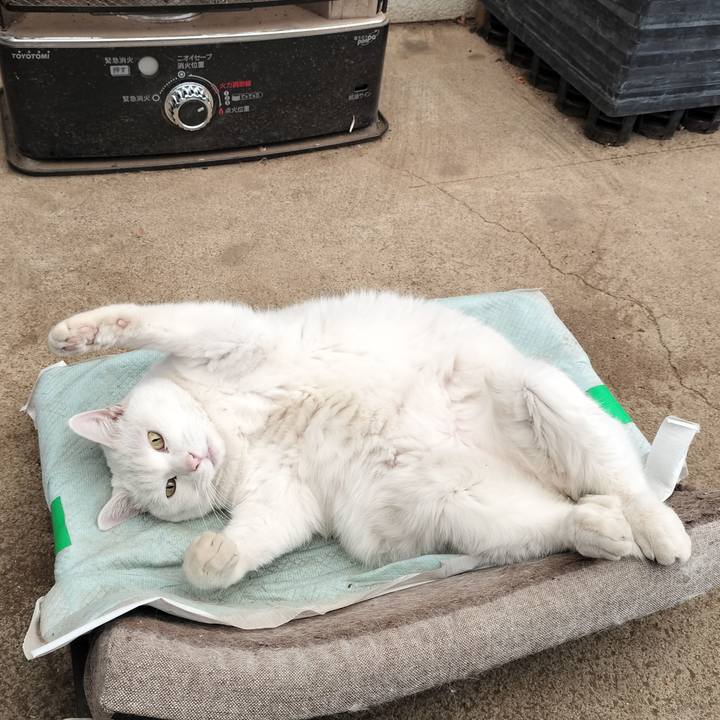 6b4a3e74 be95 410d a9c1 80eac0754c55 1768794108120