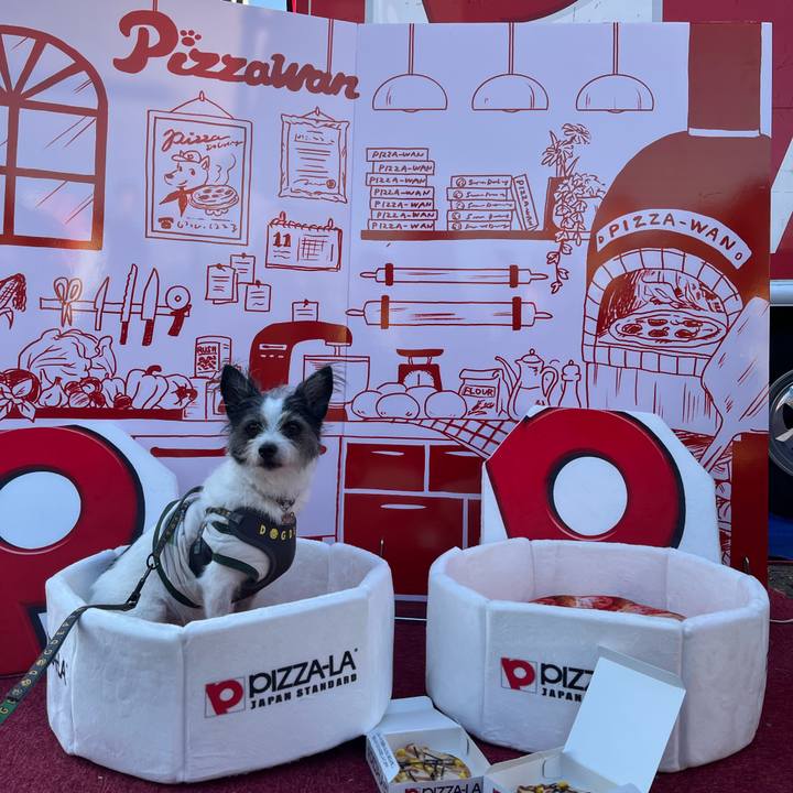 6b4a69b4 afd2 4389 855d fd544d572a2c 1730621820287