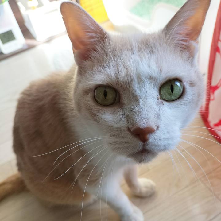 6b4a9540 9fb5 4d59 9f81 00a5fe8792cc 1667089844829