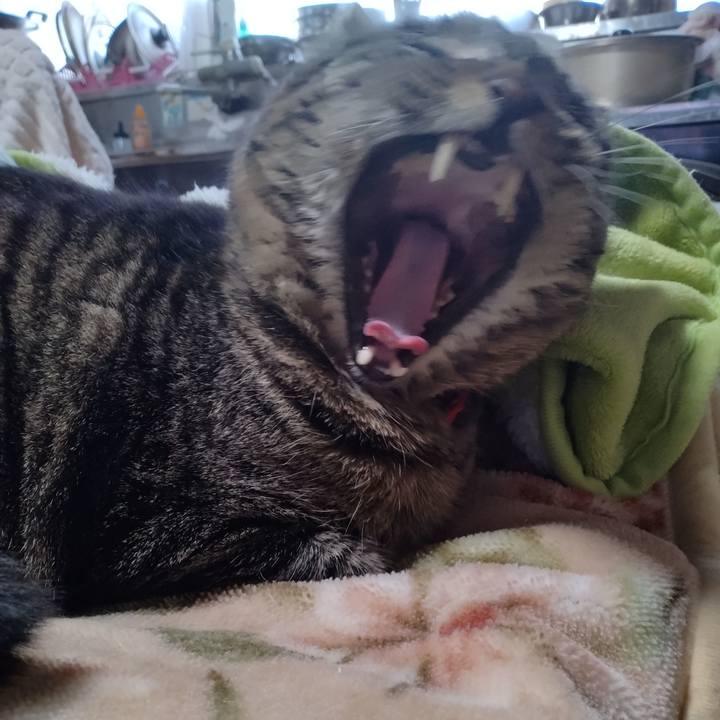 6b4ac2c9 635e 4d8c be53 18c426670665 1675320651173