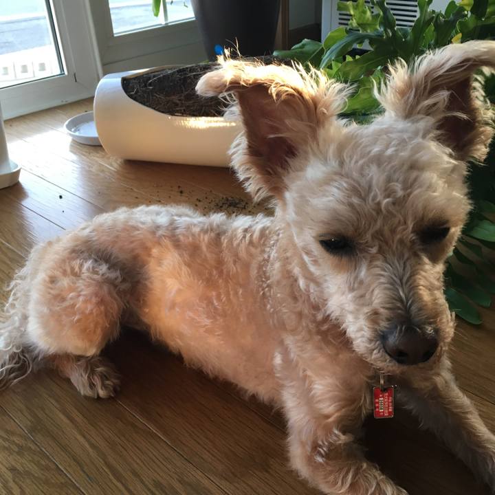 6b4ad2f7 7152 481e 8d7d 5ffa24ab5645 1526289846622