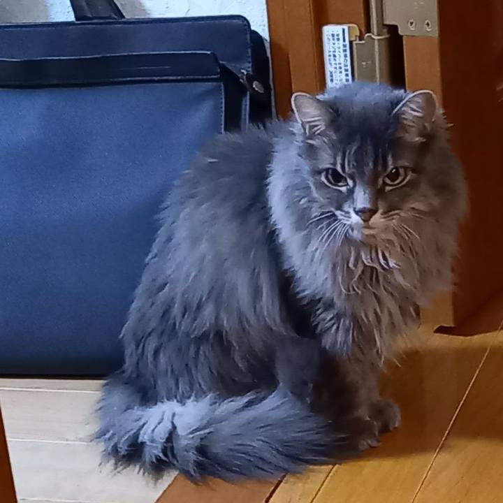 6b4ae1ee 5fca 4eb6 819d 3ccda2492f2a 1668419787316