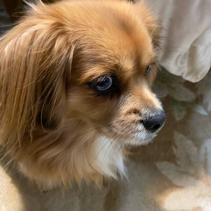 6b4b578d fa39 48dc 9802 afd888d71287 1577667573039