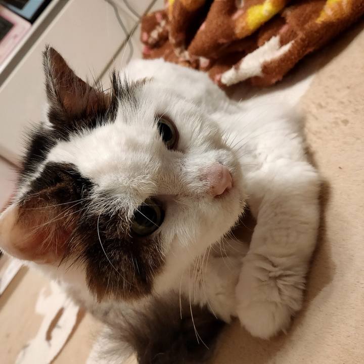 6b4b5f84 6fe9 4dfb adf1 d9d8396b6972 1589951458904