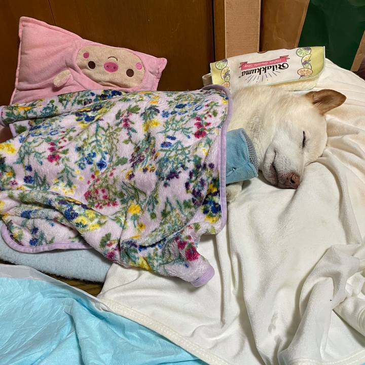 6b4b6c9d 1fbe 442a a691 ef31356d35a2 1634816496710