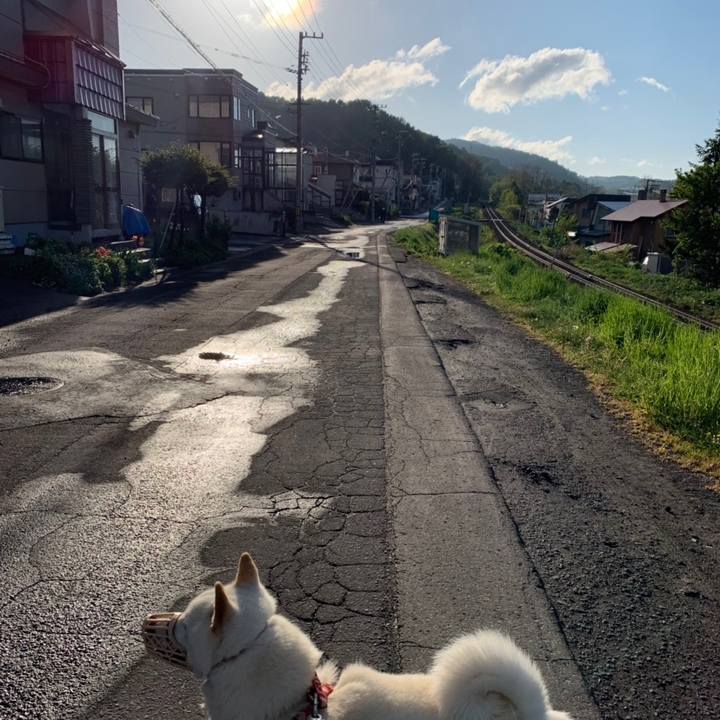 6b4b77c3 b5be 4a5a a71f a929d552145e 1558428964631