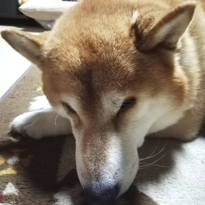 6b4b8da2 30f7 496f a640 0bc326305066 1640317883070