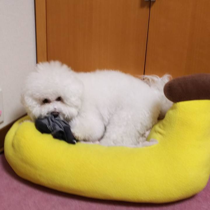 6b4bcc67 dd44 4a21 9855 9c17ccfbbf74 1529379874803