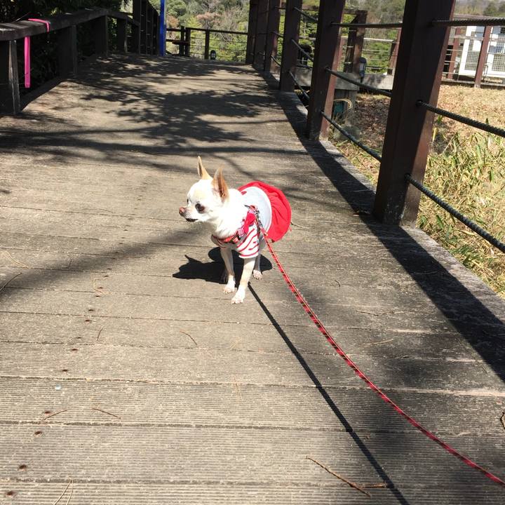 6b4bd39a 30fb 4187 bf5a d2c8d5896795 1774139735192