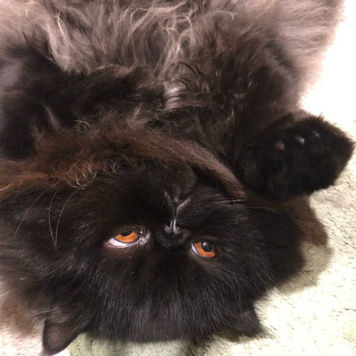 6b4be9be 77be 47ef ad72 a4d62c96977c 1622637539243