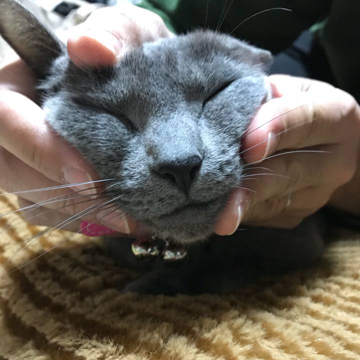 6b4bec73 a4a0 4857 b6f6 197ca16531f8 1515833122339