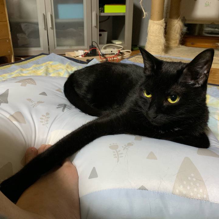 6b4c1492 150a 4642 8492 9e52dc3d6e07 1559411840675