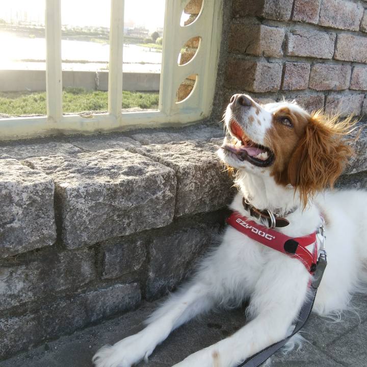 6b4c2082 8c7d 4d88 818b b9d47dd45f49 1531042763642