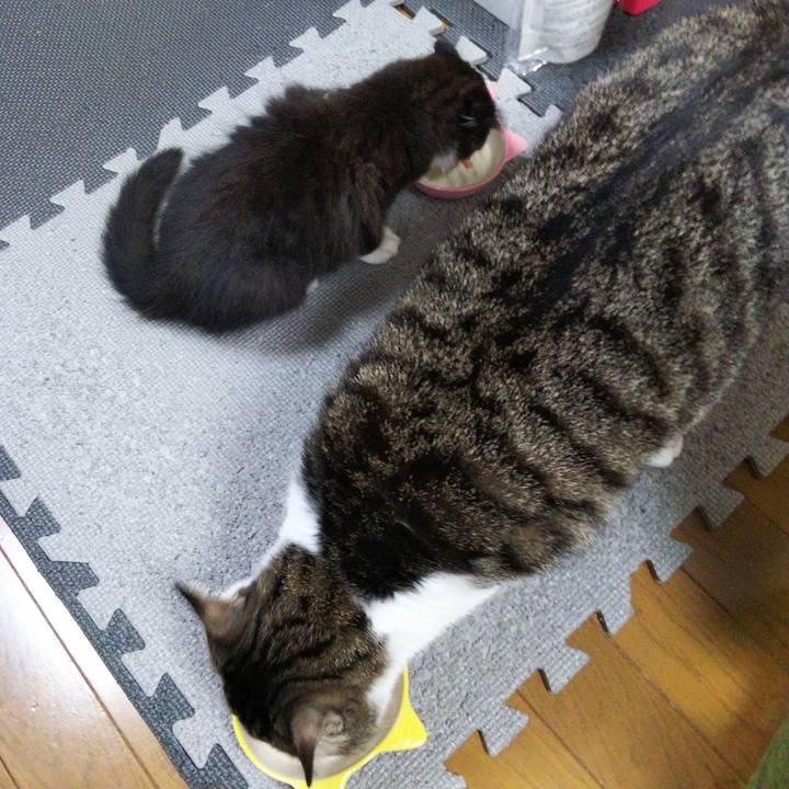 6b4c56dc 3d84 43b9 8e17 ba4cddd106b2 1639658498353