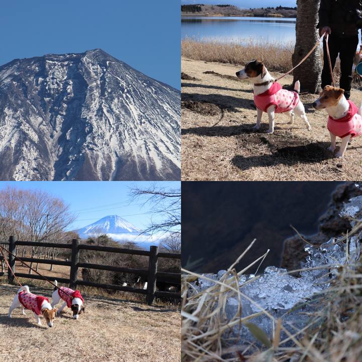 6b4c5ddd 3e64 4c65 948d 3ceaafa868b1 1514533205454