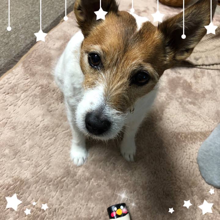 6b4c63c8 27d7 4bfa b047 1413bb2d55cf 1551512770354