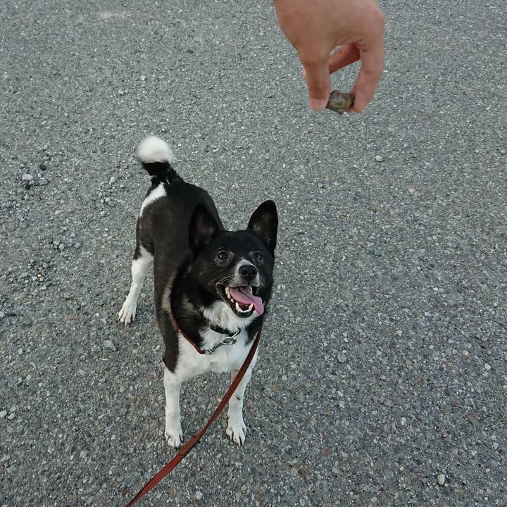 6b4c6887 9d69 47ff 89dd e5a11123ac6c 1591525828927