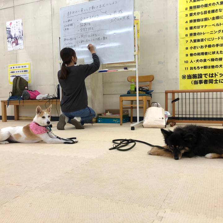 6b4c6cf8 accf 419b 93e4 2468e072d940 1601201154714