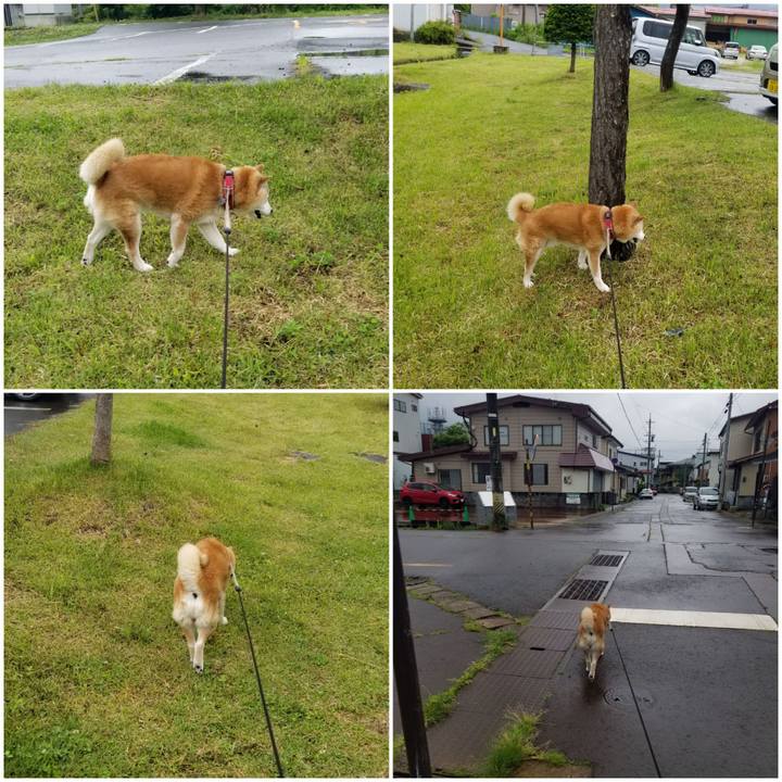 6b4c91c6 1e41 471b aa3c 676ff9260725 1748935991526