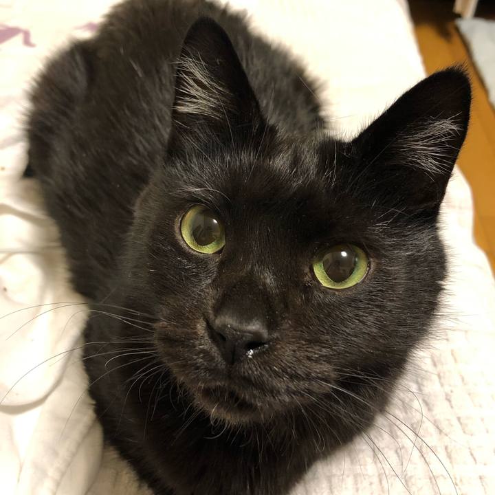 6b4ca119 7799 409b 8d53 f4ac45efd3e9 1589324083048