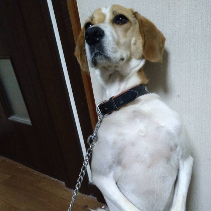 6b4ca517 175e 429c 8b9a a576a0bc2865 1625834052517