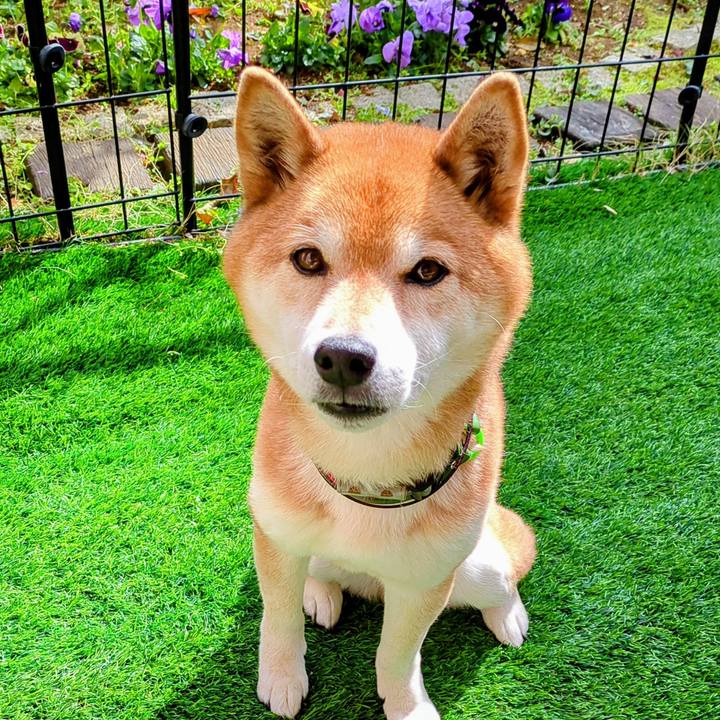 6b4cc1a8 500c 4617 9e7e 8367ae87cddd 1744193176703