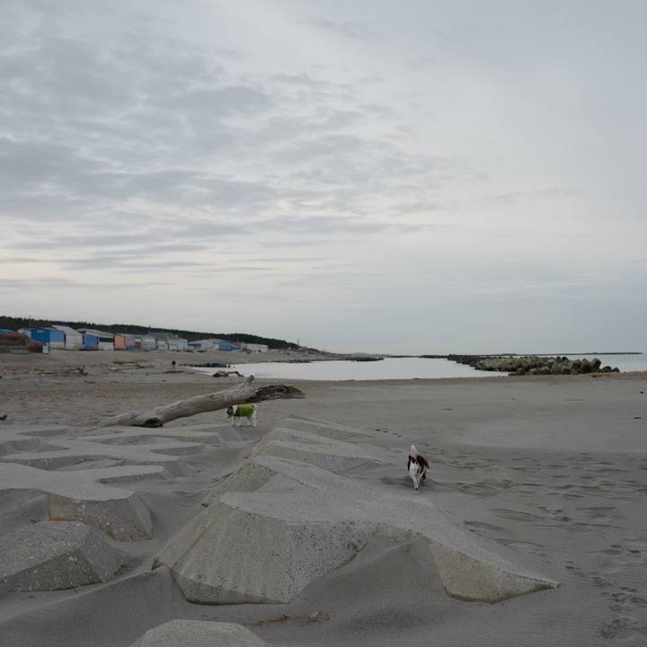 6b4cf4a4 f489 4ea6 8348 91898158bcad 1515387056745