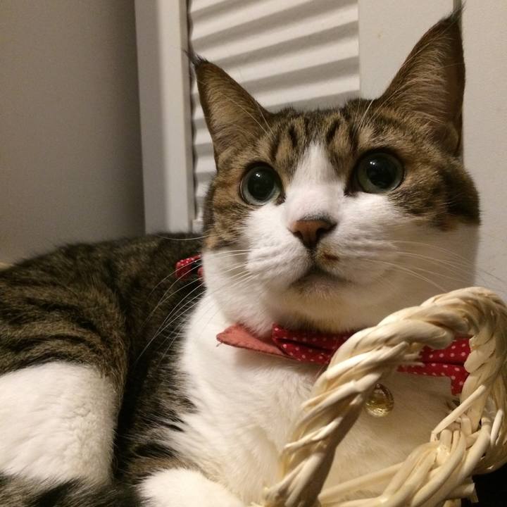 6b4d4427 a7b9 4a2d 9bf4 d73c24a07d84 1514772503271