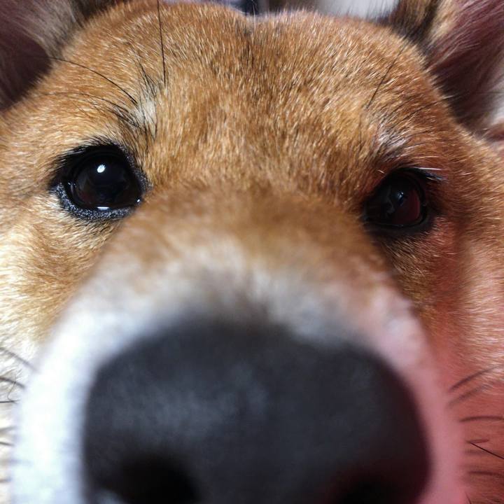 6b4d48d3 0156 4a25 8fcf 2372a9c400ba 1551276930271