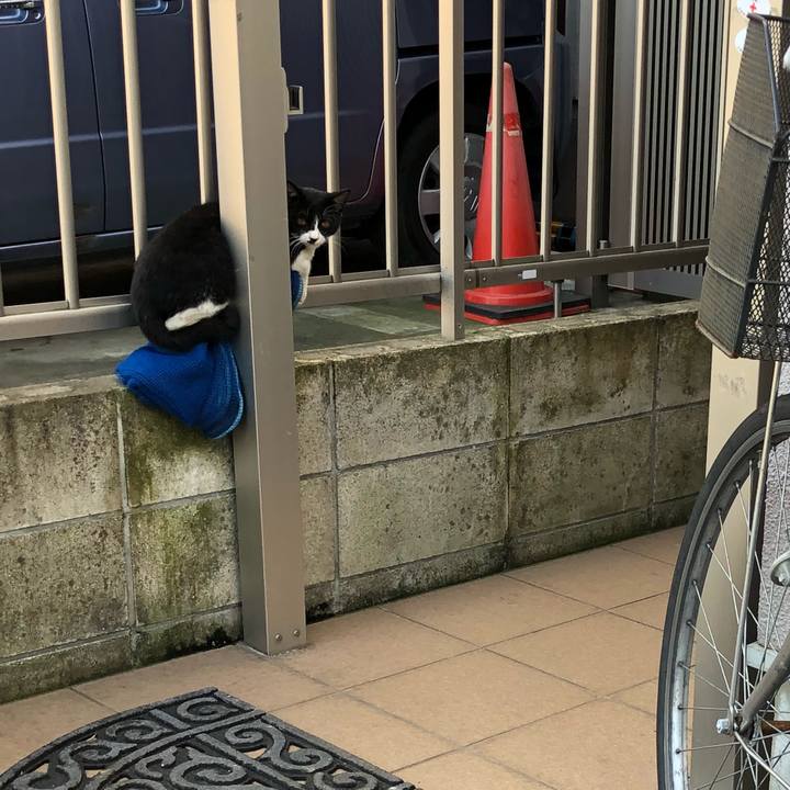 6b4d779b 3311 46c4 82bb 8aff239f42a8 1539320938431