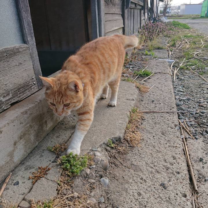 6b4da98c 9b32 461c b83a 3fedfb903518 1586990131227