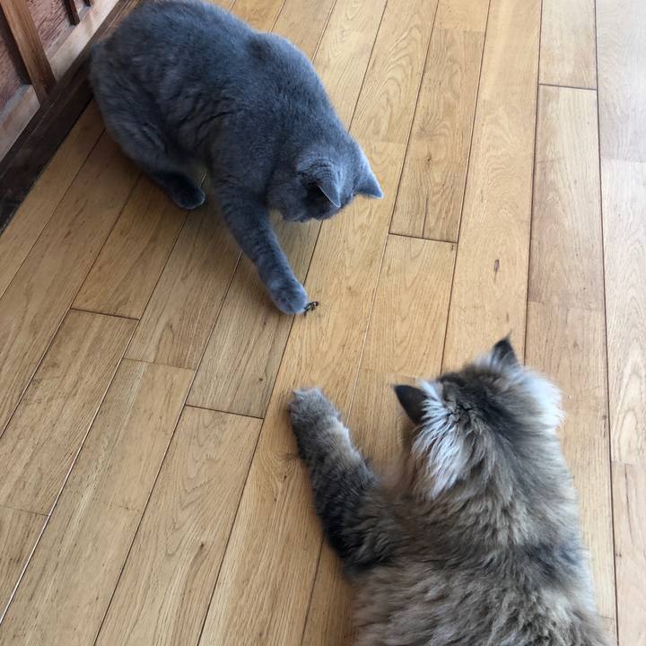 6b4df366 8e30 4a53 ab74 f67a136970d4 1566090152168