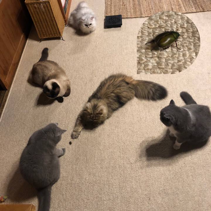 6b4dfb77 dba4 47d8 9ed2 80ff09acfeeb 1626954330928